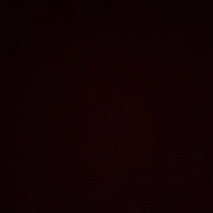 Meet your Posher, Dylan